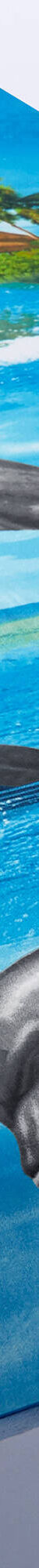 Bedlinnen Flipper in polyester-katoen (blauw) Bedlinnen Flipper in polyester-katoen (blauw)